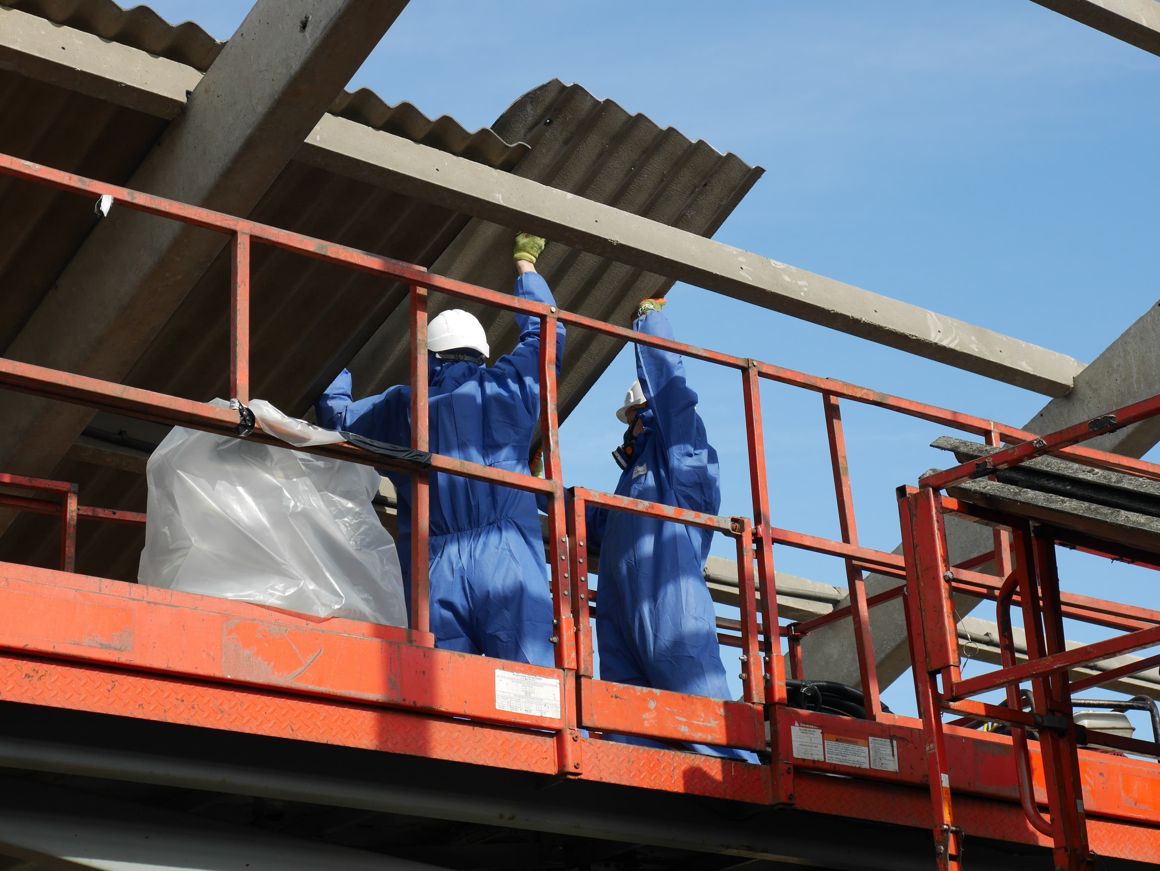 Paint Lead Services