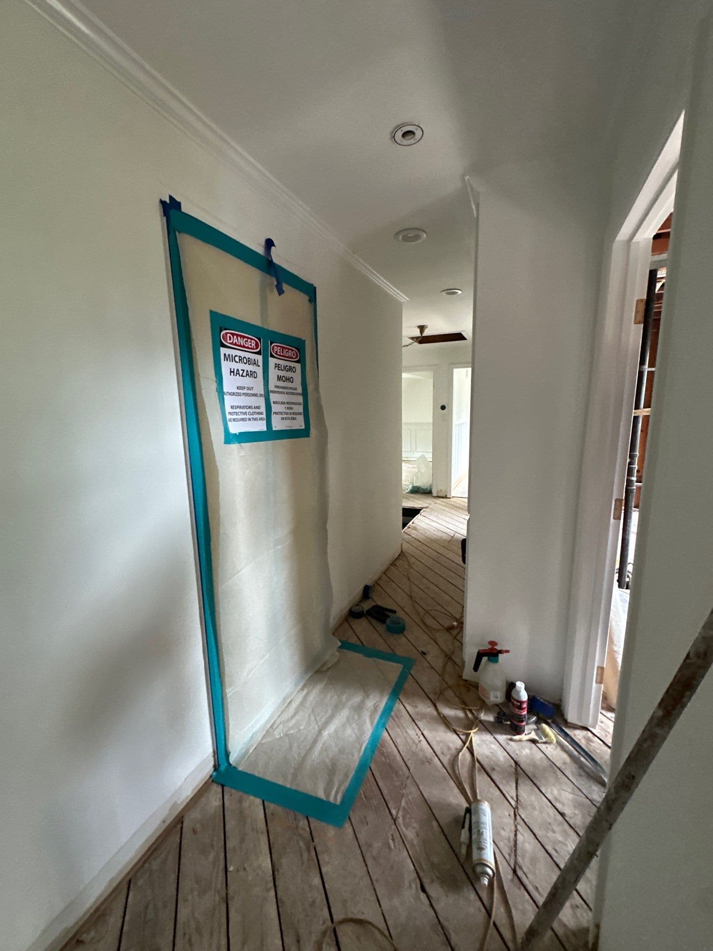 What is Mold?