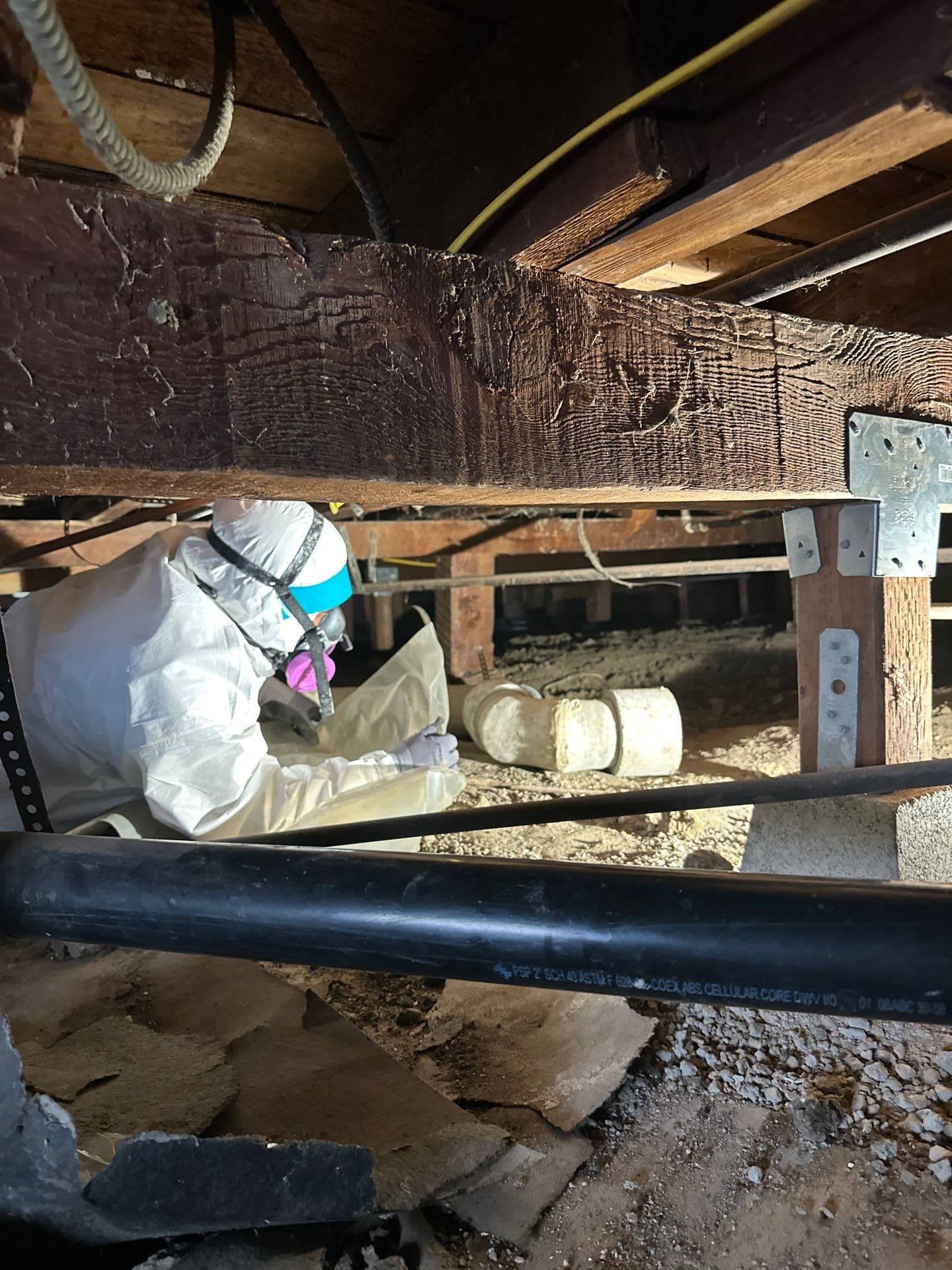 Contact Coast Abatement